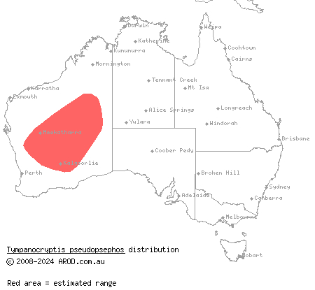 Goldfields pebble-mimic dragons (Tympanocryptis pseudopsephos) distribution range map