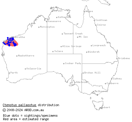 Western Pilbara lined ctenotus (Ctenotus pallasotus) distribution range map