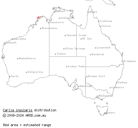 Kimberley islands rainbow-skink (Carlia insularis) distribution range map
