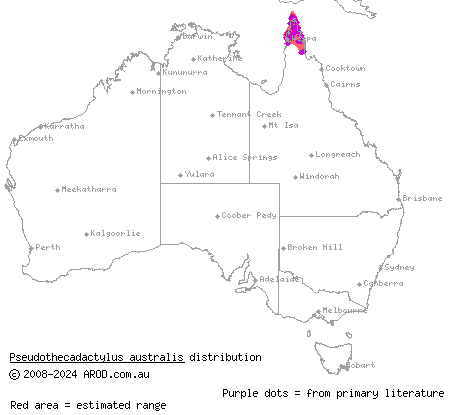 giant tree gecko (Pseudothecadactylus australis) distribution range map