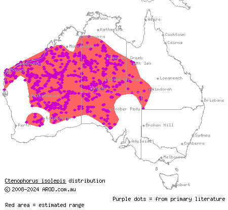 central military dragon (Ctenophorus isolepis) distribution range map