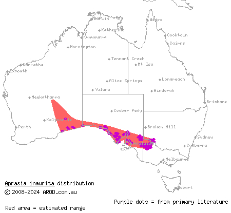 red-tailed worm-lizard (Aprasia inaurita) distribution range map