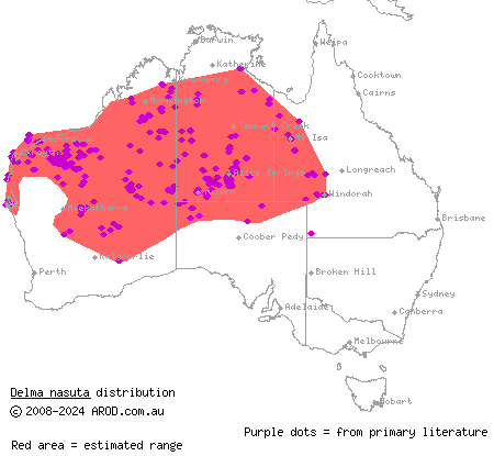 sharp-snouted delma (Delma nasuta) distribution range map