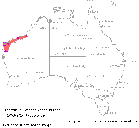 rufous finesnout ctenotus (Ctenotus rufescens) distribution range map