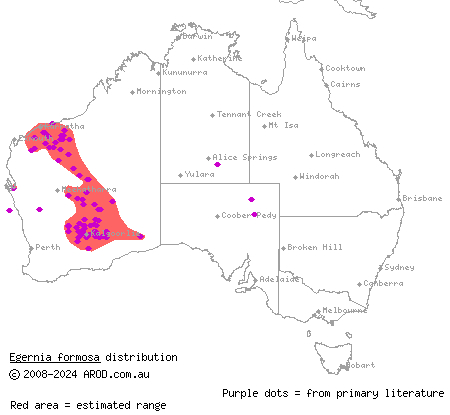 goldfields crevice-skink (Egernia formosa) distribution range map