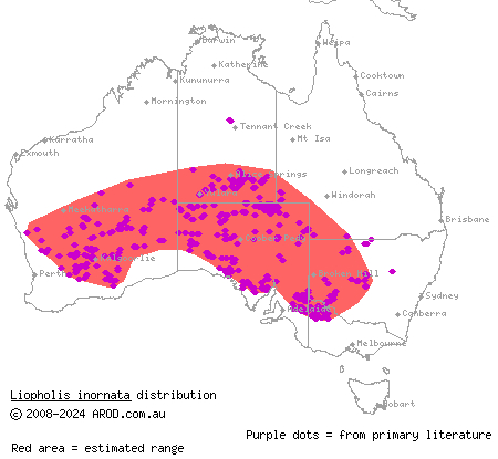 desert skink (Liopholis inornata) distribution range map
