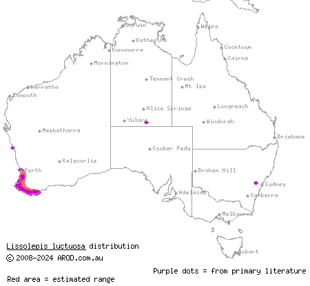 western mourning skink (Lissolepis luctuosa) distribution range map