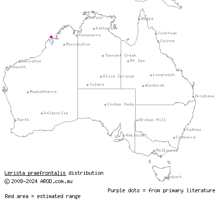 Yampi sandslider (Lerista praefrontalis) distribution range map
