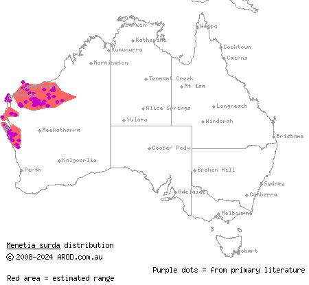 western dwarf skink (Menetia surda) distribution range map