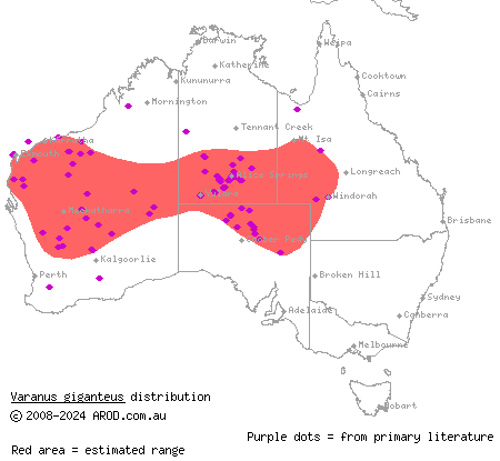 perentie (Varanus giganteus) distribution range map