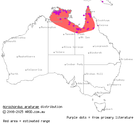 Arafura file snake (Acrochordus arafurae) distribution range map