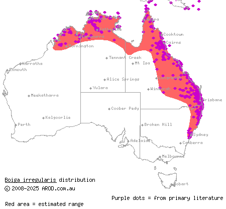 brown tree snake (Boiga irregularis) distribution range map