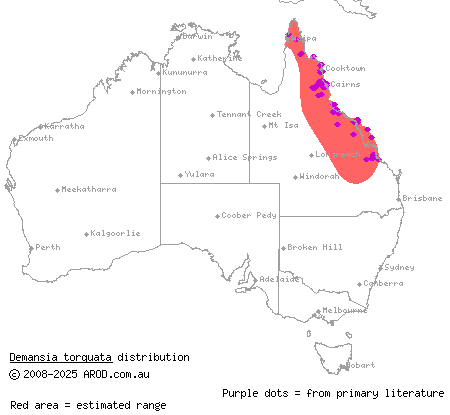 collared whipsnake (Demansia torquata) distribution range map