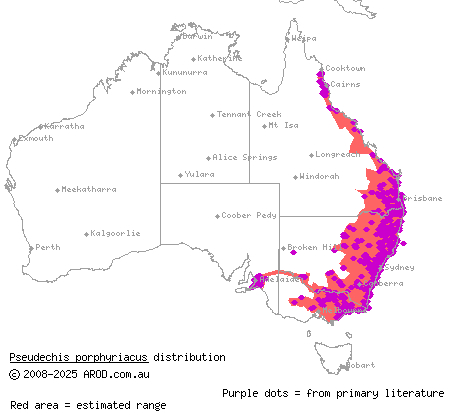 red-bellied black snake (Pseudechis porphyriacus) distribution range map