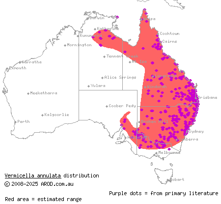 bandy-bandy (Vermicella annulata) distribution range map