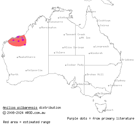 Pilbara blind snake (Anilios pilbarensis) distribution range map