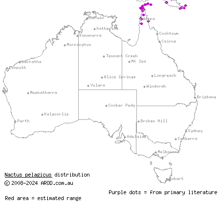 pelagic gecko (Nactus pelagicus) distribution range map