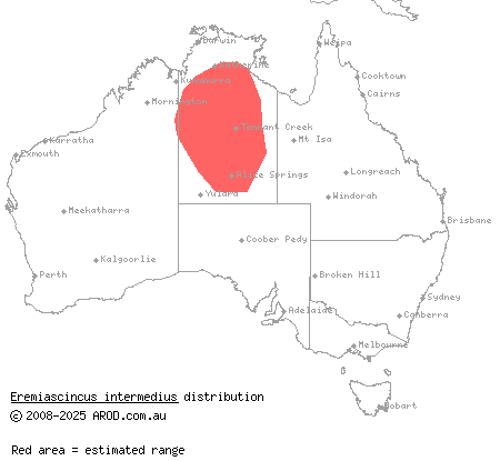 northern narrowâ€“banded skink (Eremiascincus intermedius) distribution range map