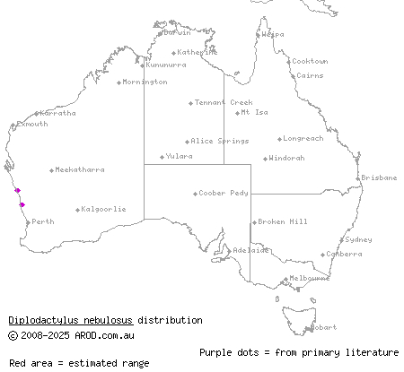 cloudy stone gecko (Diplodactylus nebulosus) distribution range map