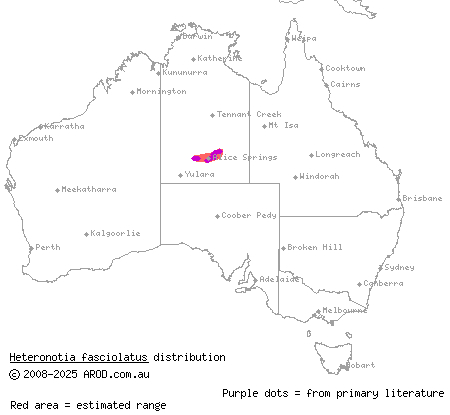 pale-headed gecko (Heteronotia fasciolatus) distribution range map