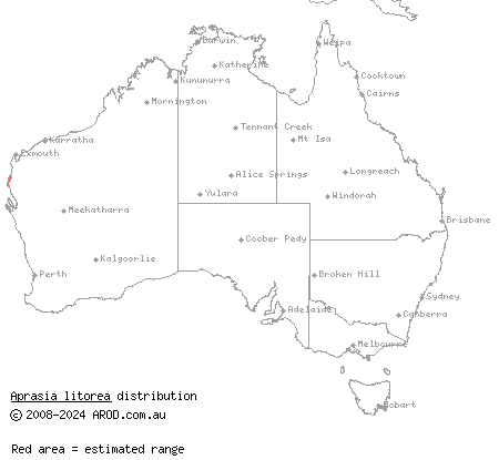 Gnaraloo worm-lizard (Aprasia litorea) distribution range map