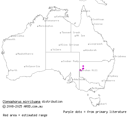 Barrier Range dragon (Ctenophorus mirrityana) distribution range map