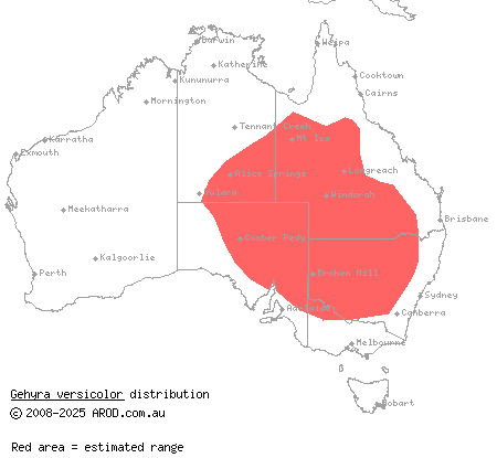 eastern tree dtella (Gehyra versicolor) distribution range map