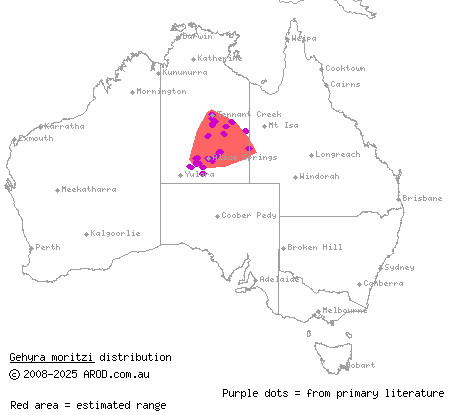 Moritz's dtella (Gehyra moritzi) distribution range map