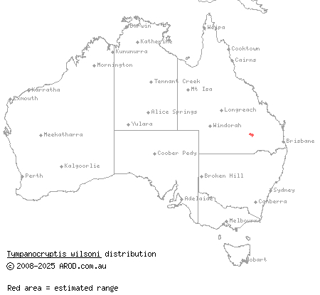 Roma earless dragon (Tympanocryptis wilsoni) distribution range map