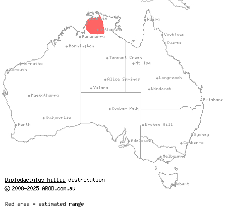 northern fat-tailed gecko (Diplodactylus hillii) distribution range map