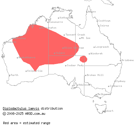 Desert fat-tailed gecko (Diplodactylus laevis) distribution range map