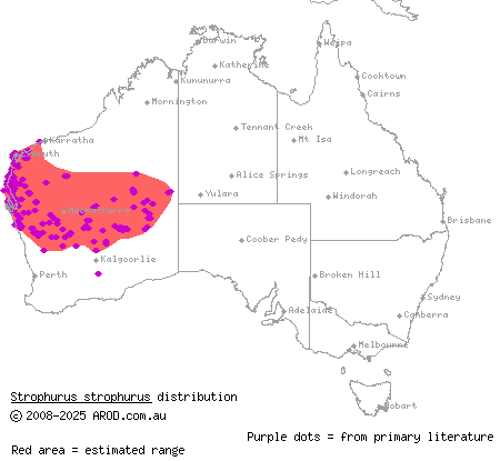 western spiny-tailed gecko (Strophurus strophurus) distribution range map