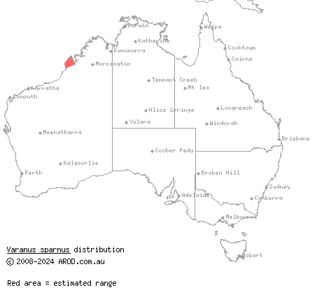 Dampier Peninsula goanna (Varanus sparnus) distribution range map