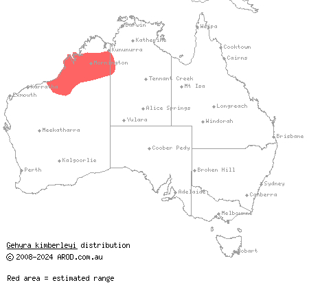 robust termitaria gecko (Gehyra kimberleyi) distribution range map