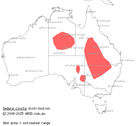 inland marbled velvet gecko (Oedura cincta) distribution range map