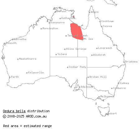 Gulf marbled velvet gecko (Oedura bella) distribution range map