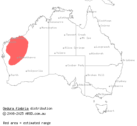 western marbled velvet gecko (Oedura fimbria) distribution range map