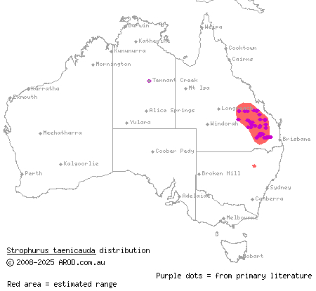 golden-tailed gecko (Strophurus taenicauda) distribution range map