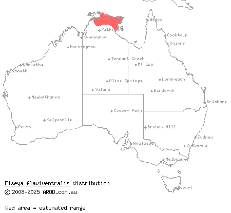 yellow-bellied snapping turtle (Elseya flaviventralis) distribution range map