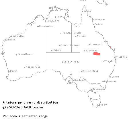 Warrego burrowing snake (Antaioserpens warro) distribution range map