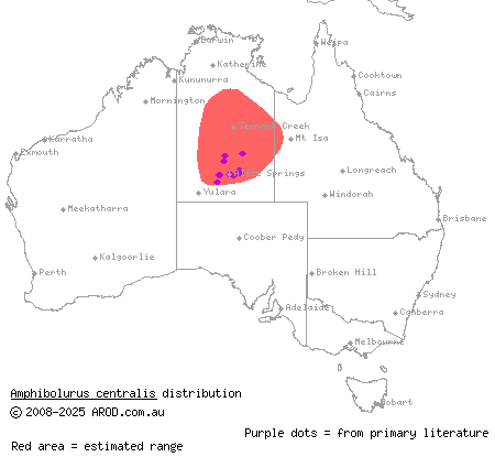 centralian lashtail dragon (Amphibolurus centralis) distribution range map