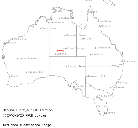 Mereenie velvet gecko (Oedura luritja) distribution range map