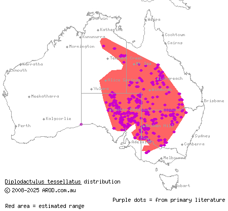 tessellated gecko (Diplodactylus tessellatus) distribution range map