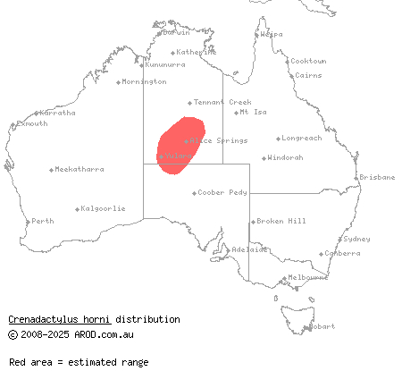 Central Uplands clawless gecko (Crenadactylus horni) distribution range map