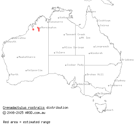 South-west Kimberley clawless gecko (Crenadactylus rostralis) distribution range map