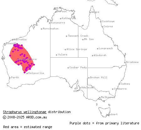 Western Shield spiny-tailed gecko (Strophurus wellingtonae) distribution range map