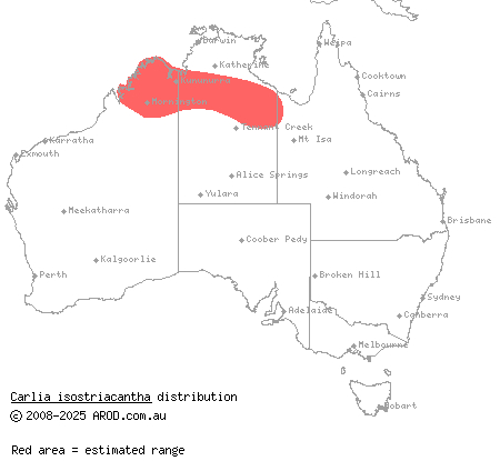 Monsoonal three-keeled rainbow-skink (Carlia isostriacantha) distribution range map