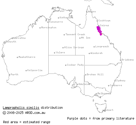 southern rainforest sunskink (Lampropholis similis) distribution range map