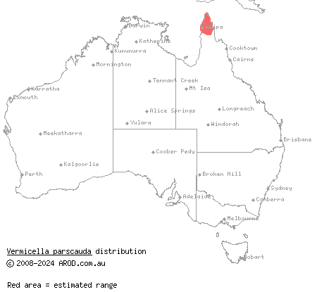 Cape York bandy-bandy (Vermicella parscauda) distribution range map