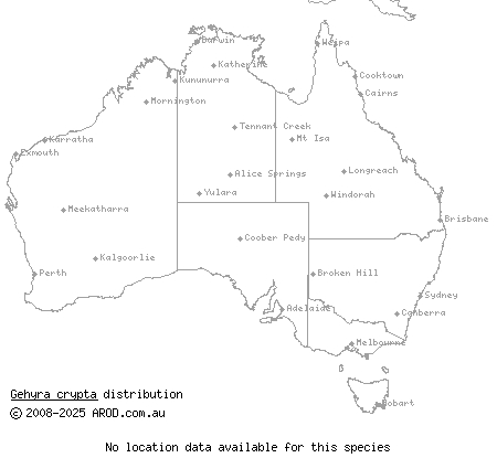 western cryptic gehyra (Gehyra crypta) distribution range map